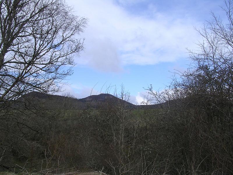 2008-04-14_09.14.46.jpg - The Eildon Hills