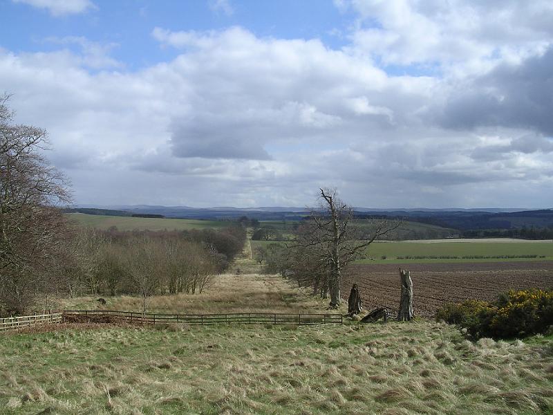 2008-04-14_13.24.56.jpg - The seemingly endless Dere Street