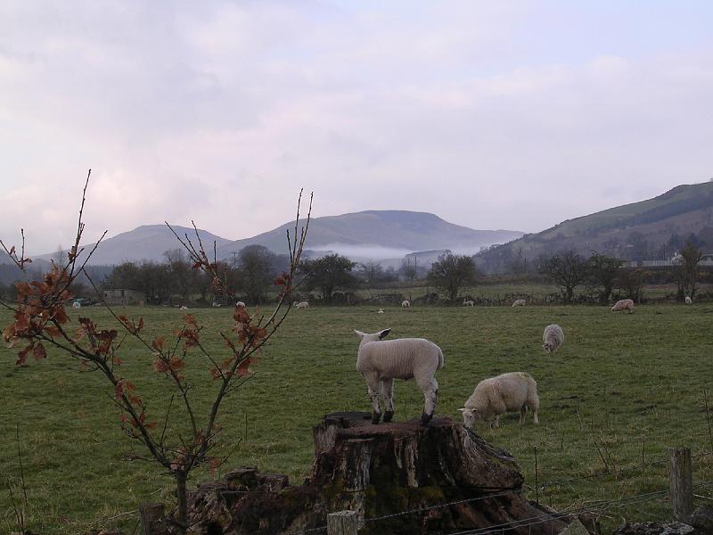 2008-04-16_06.57.26.jpg - An early start in Yetholm