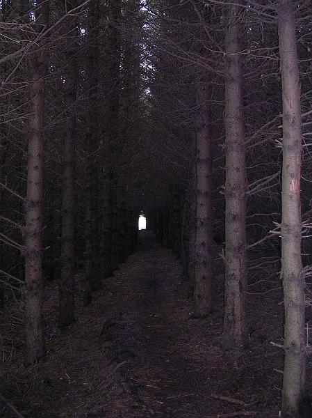2008-04-16_08.32.48.jpg - Light at the end of the tunnel?