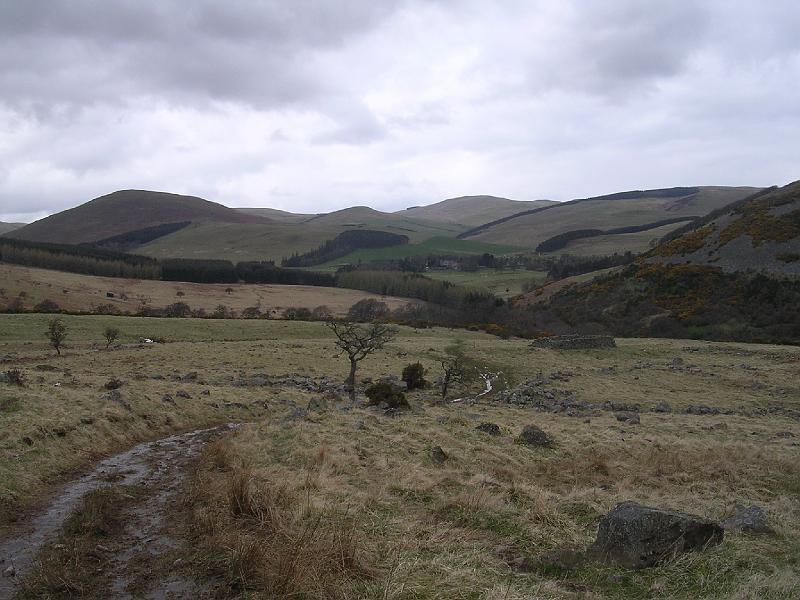 2008-04-16_10.19.02.jpg