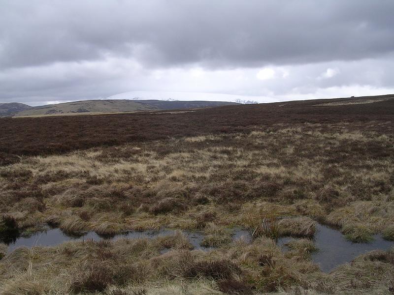 2008-04-16_11.28.46.jpg - View across the moor to the Cheviot
