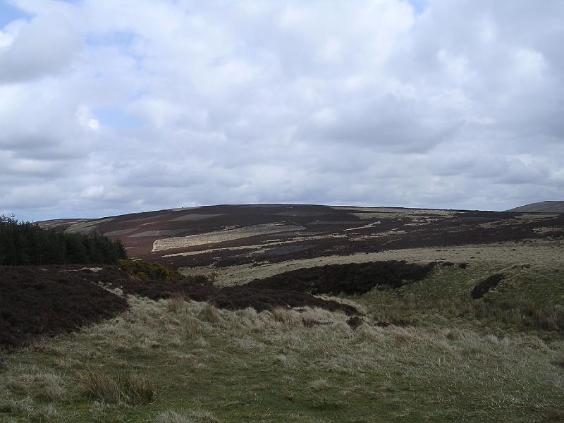 2008-04-16_11.40.28.jpg