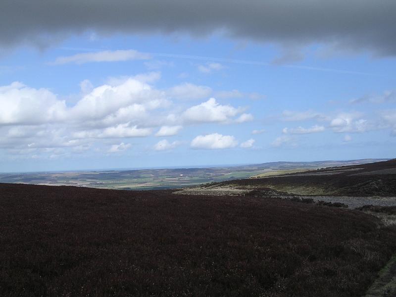 2008-04-16_12.15.54.jpg
