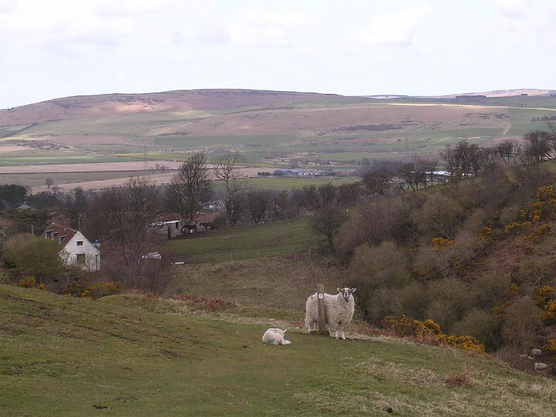 2008-04-16_13.52.10.jpg - Almost at Wooler
