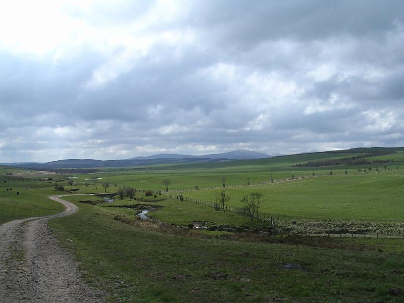 2008-04-17_11.54.24.jpg - Hetton Burn