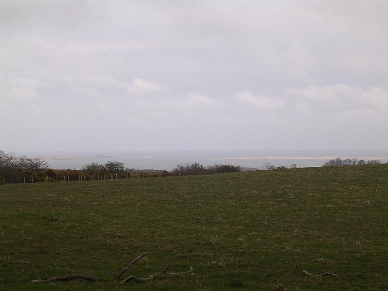2008-04-17_14.17.24.jpg