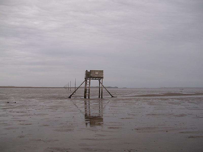 2008-04-17_16.25.28.jpg