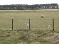 2008-04-14_13.43.12