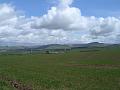 2008-04-15_11.30.06