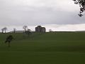 2008-04-15_12.07.50