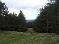 2008-04-16_13.42.58