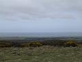 2008-04-17_13.35.38