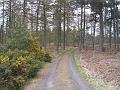 2008-04-17_13.57.18