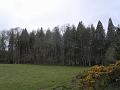 2008-04-17_14.24.08