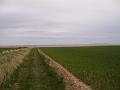 2008-04-17_15.55.04
